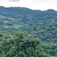 Atnago's Ethiopia