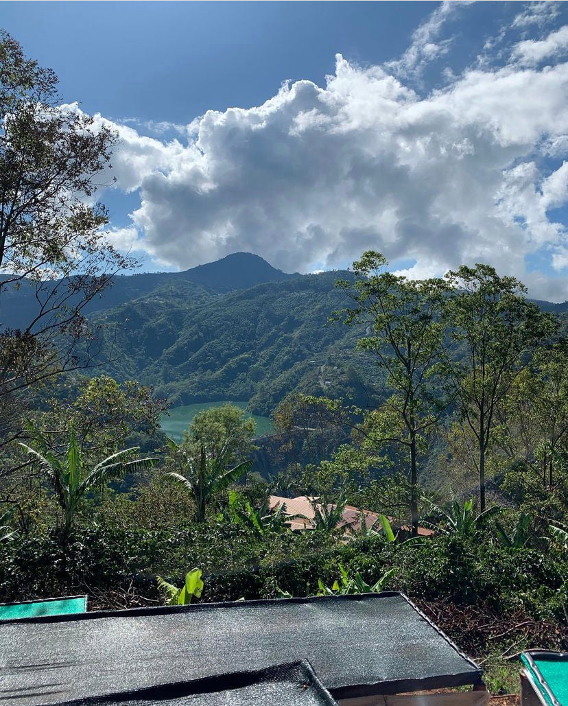 Seilyn's Costa Rica