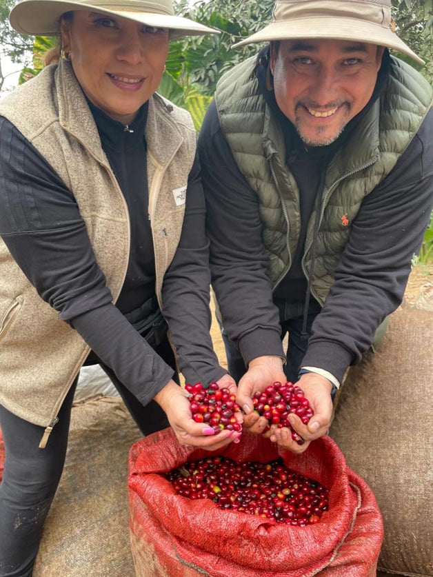Lilly and David showing red coffee cherries freshly picked, smiling at the camera