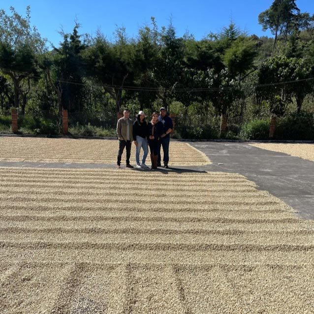Rodriguez family together in the middle of their farm's drying beds, with green coffee drying in the sun around them