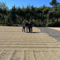 Rodriguez family together in the middle of their farm's drying beds, with green coffee drying in the sun around them