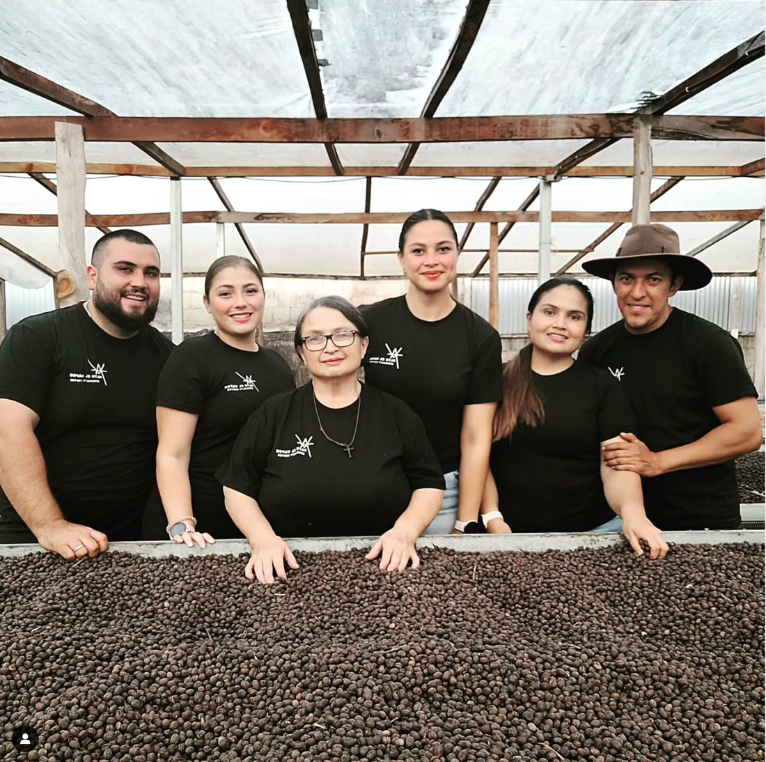 Mayra Solis and her family in their dry mill behind a bed of drying coffee beans