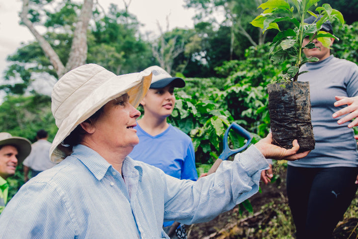 A farmer holds up a coffee plant, while her daughter helps examine