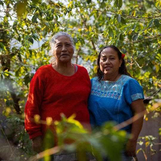 Rosalba and the Bella Vista Women's Coop