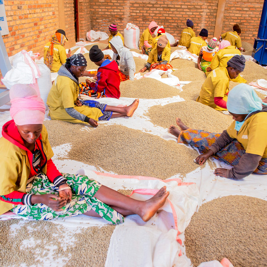 Rambagira's Rwanda