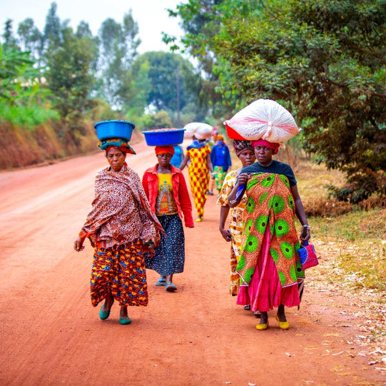 Group of women carrying coffee cherries in containers on their head on a dirt road in Rwanda